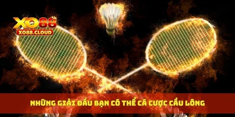 Những giải đấu bạn có thể cá cược cầu lông