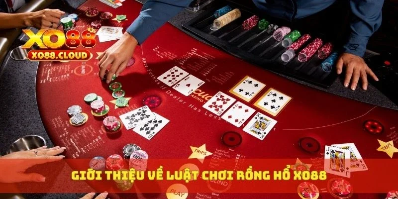 Giới thiệu về luật chơi Rồng Hổ XO88