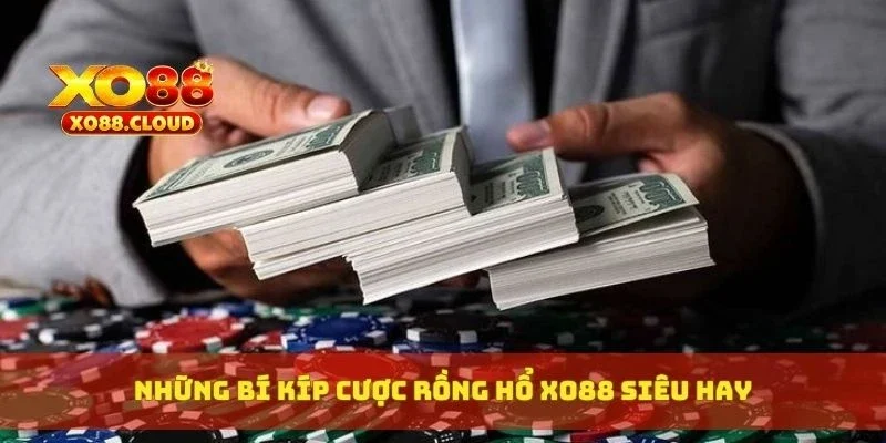 Những bí kíp cược rồng hổ XO88 siêu hay